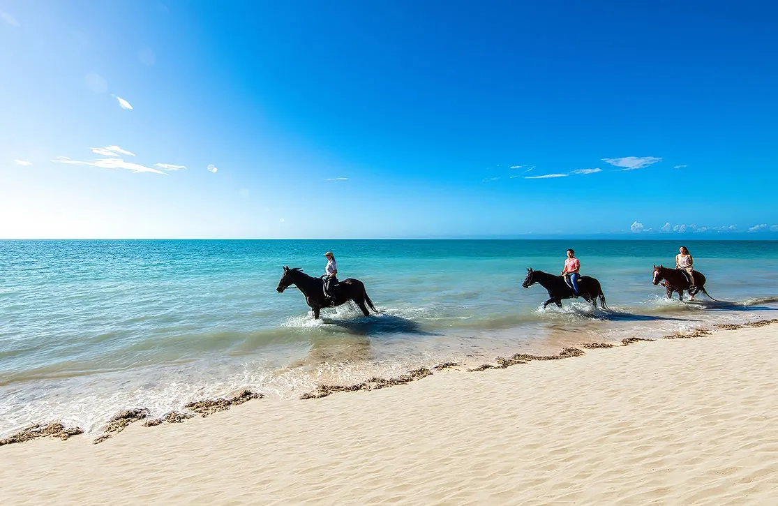 Bahamas Horseback Riding
