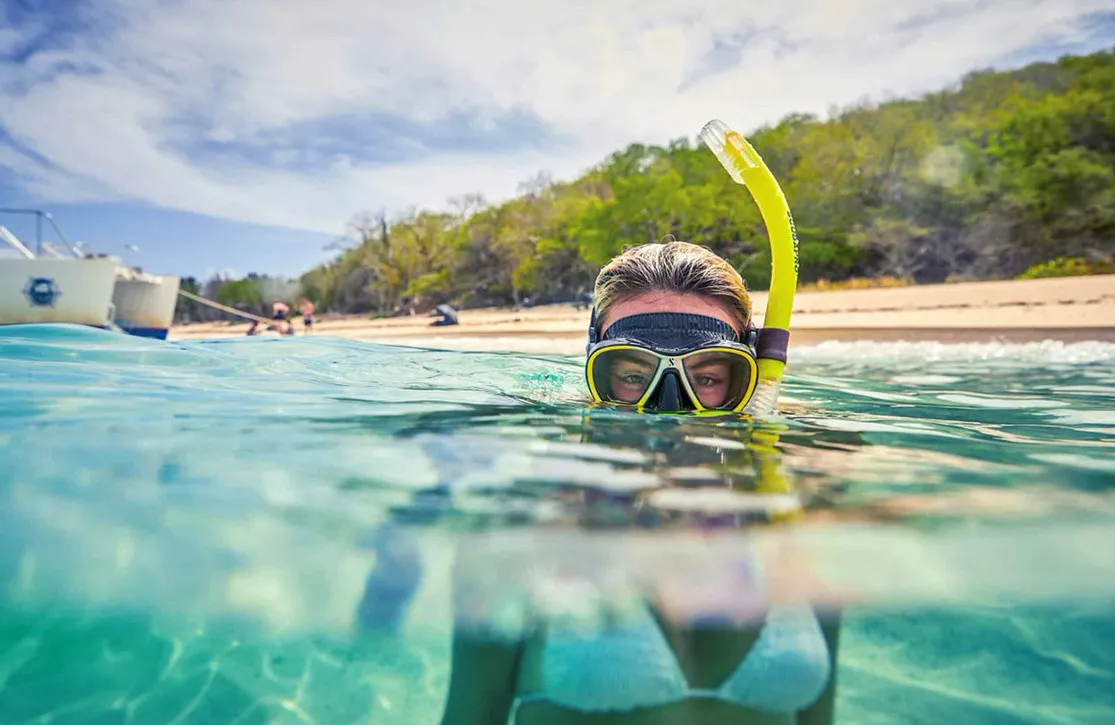 Virgin Islands Snorkeling Scene